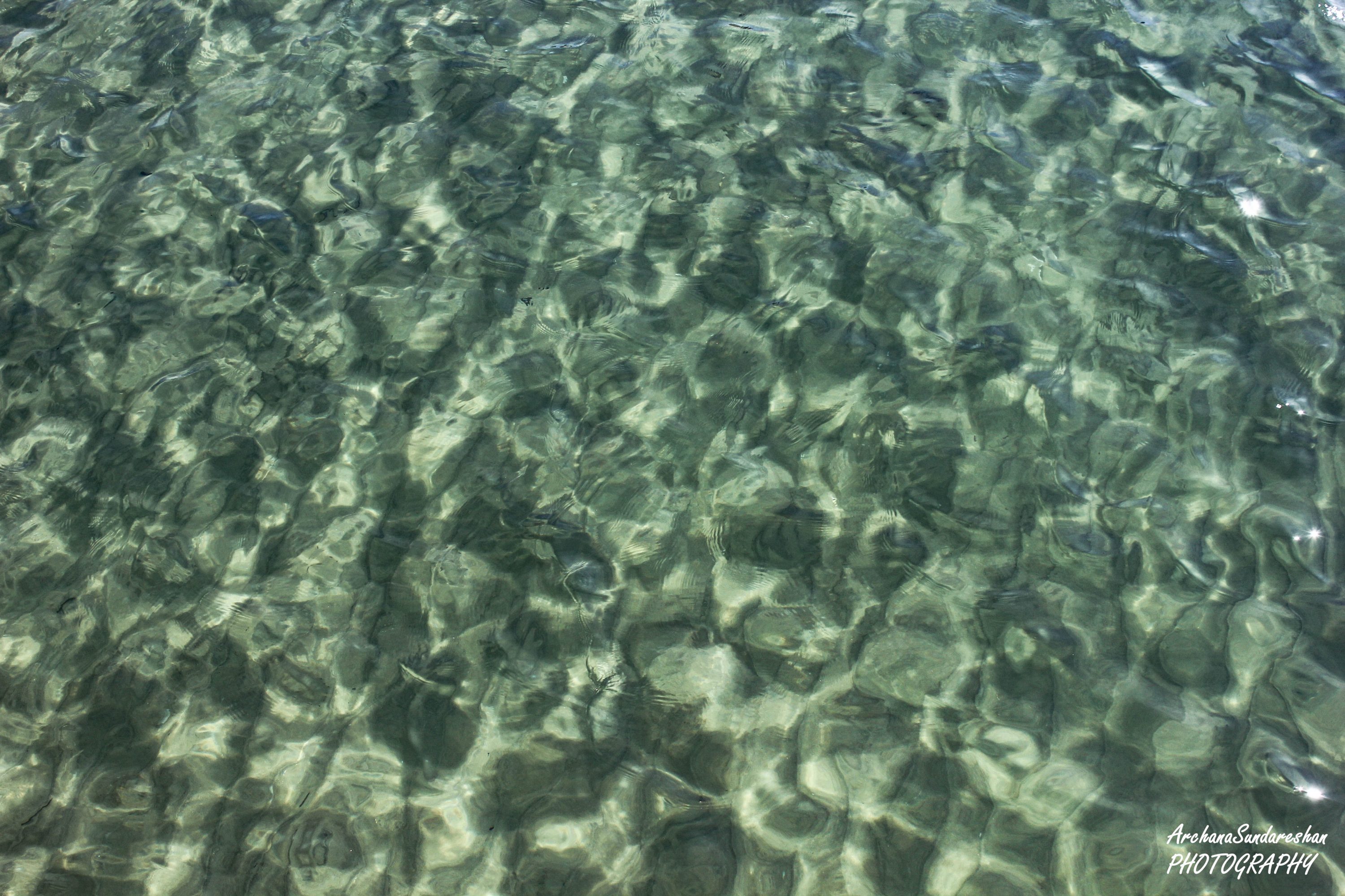 Pristine Waters of Abel Tasman