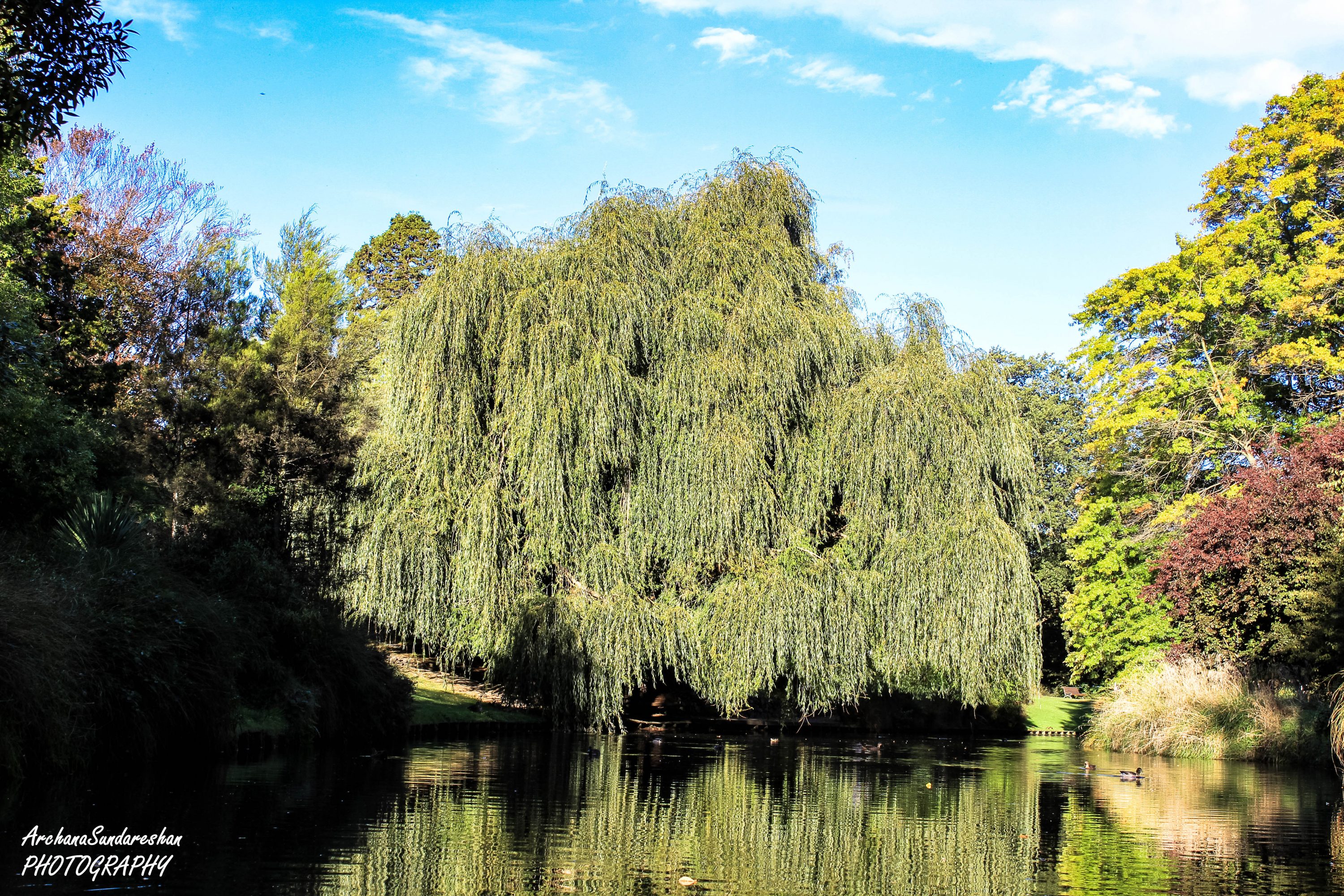 Avon River Punting