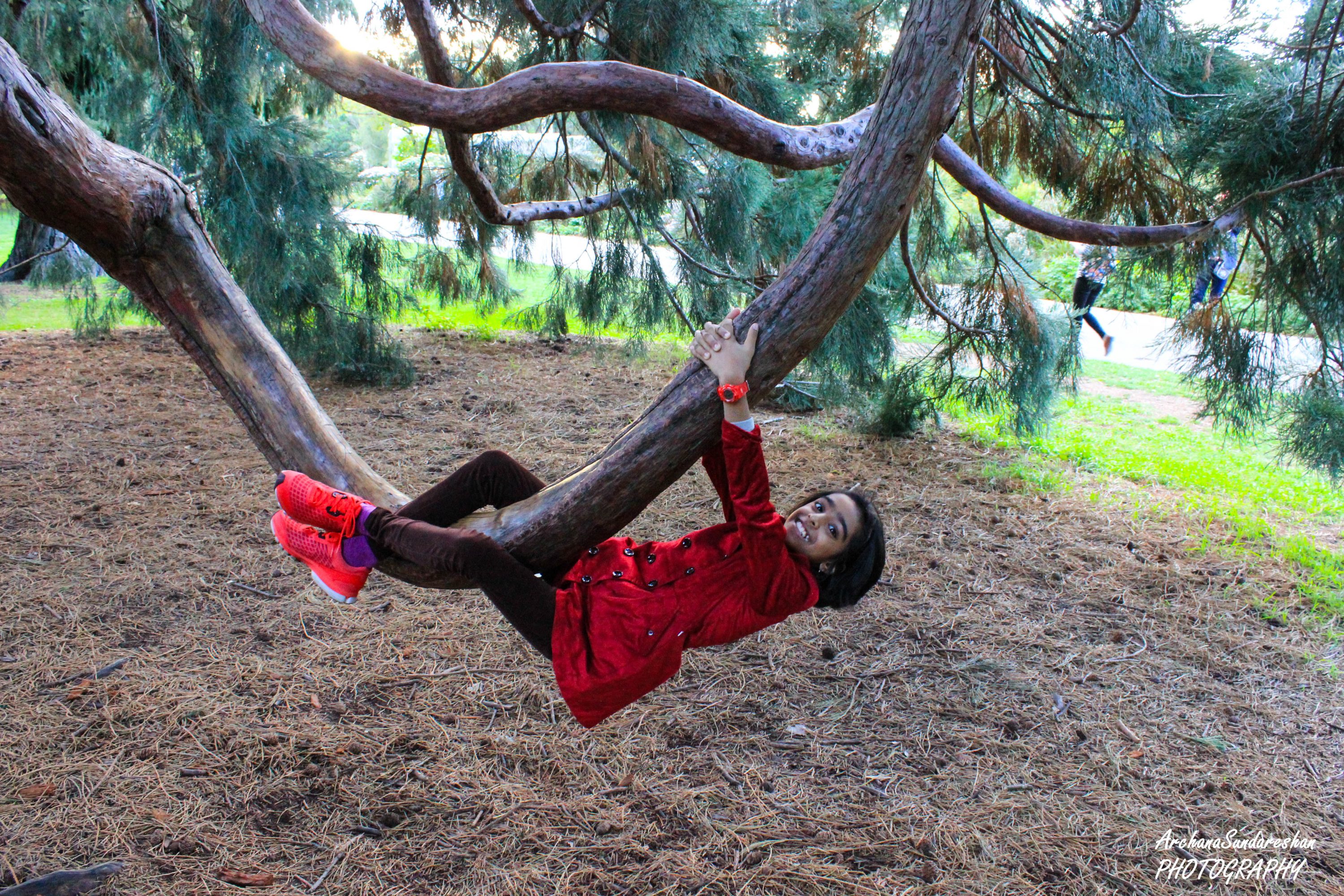 Child play in Botanical Garden Christchurch