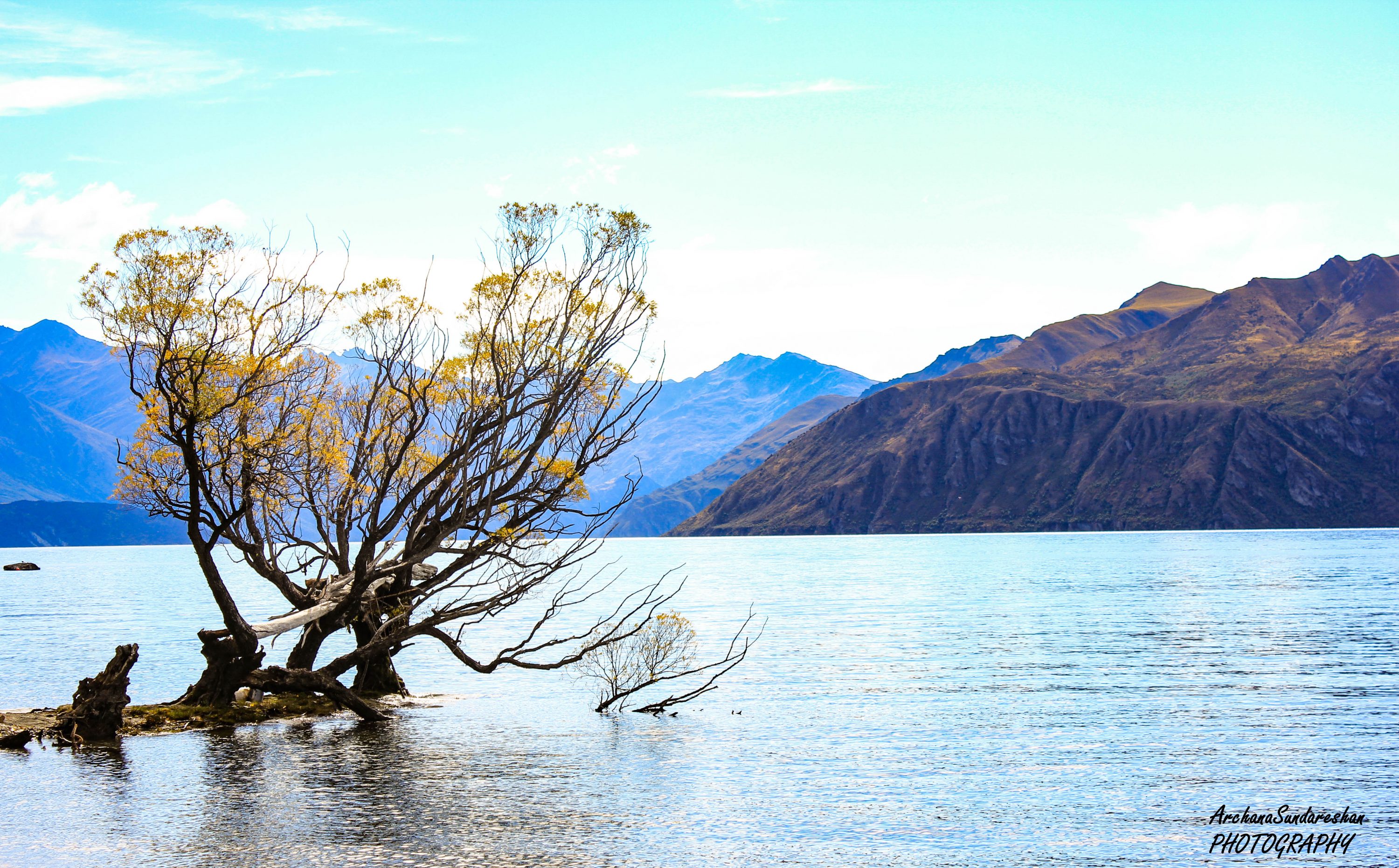 Lake Wanaka