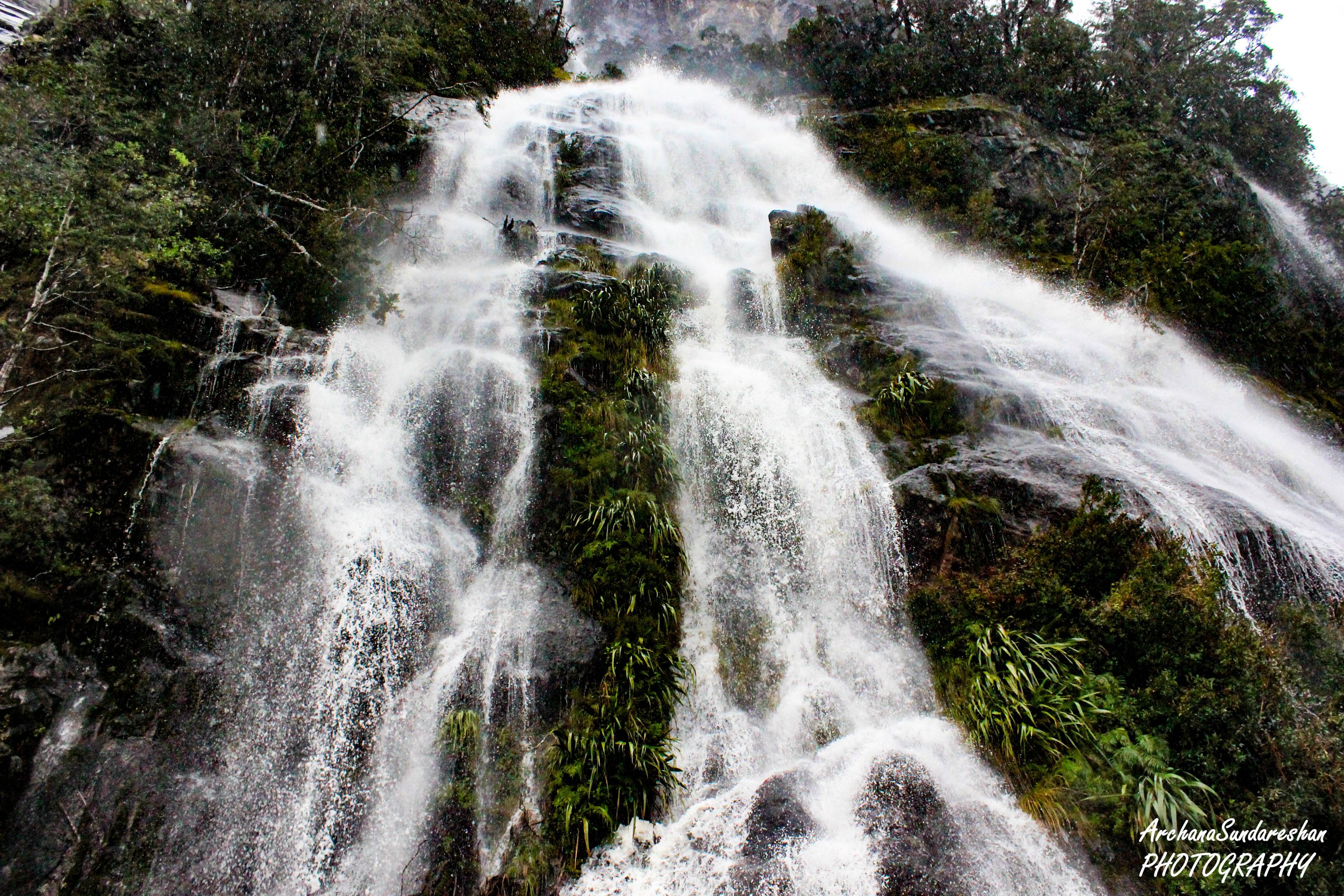 Water falls seen from Milford Sound Cruise