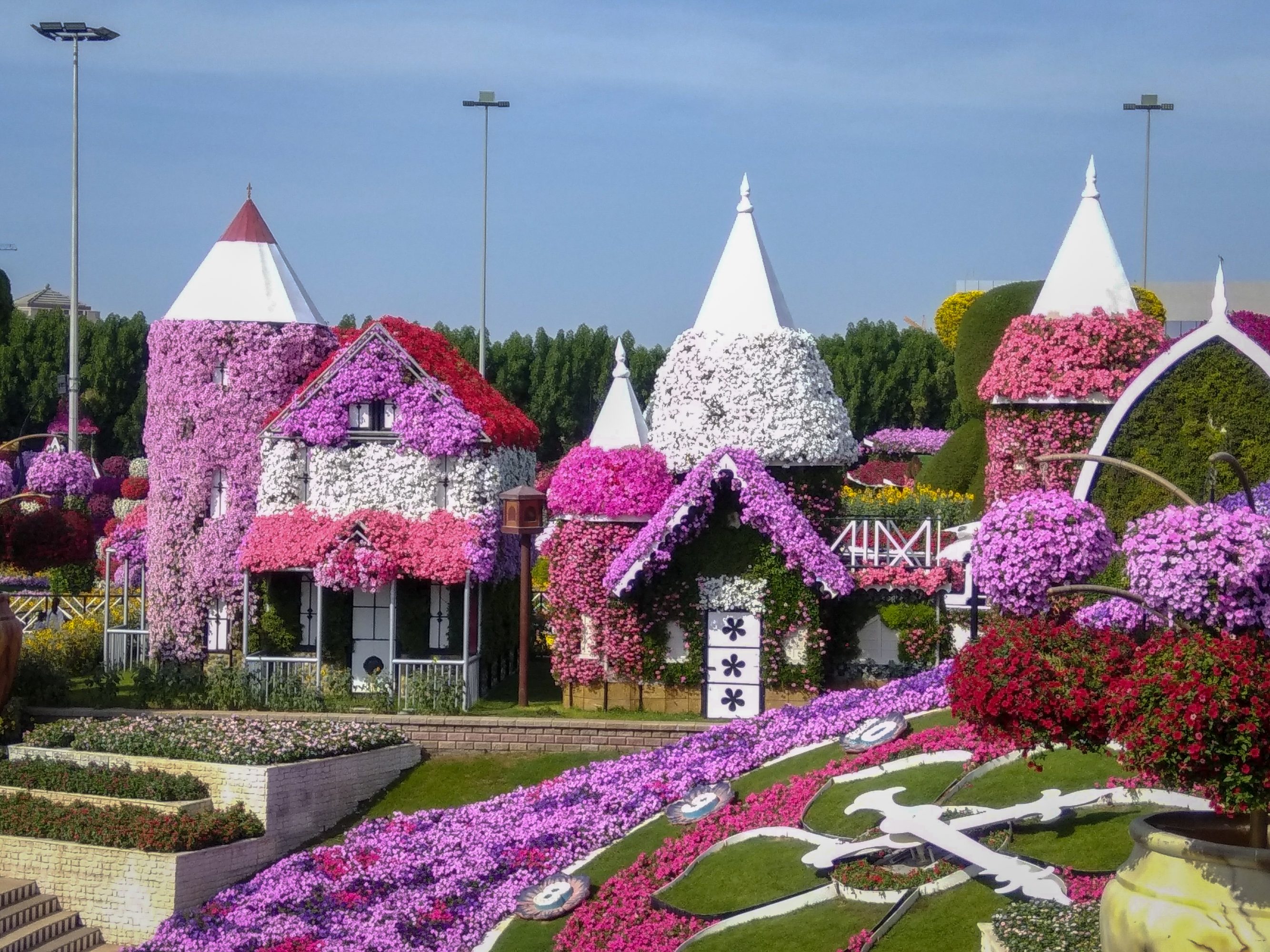 Inside Dubai Miracle Garden