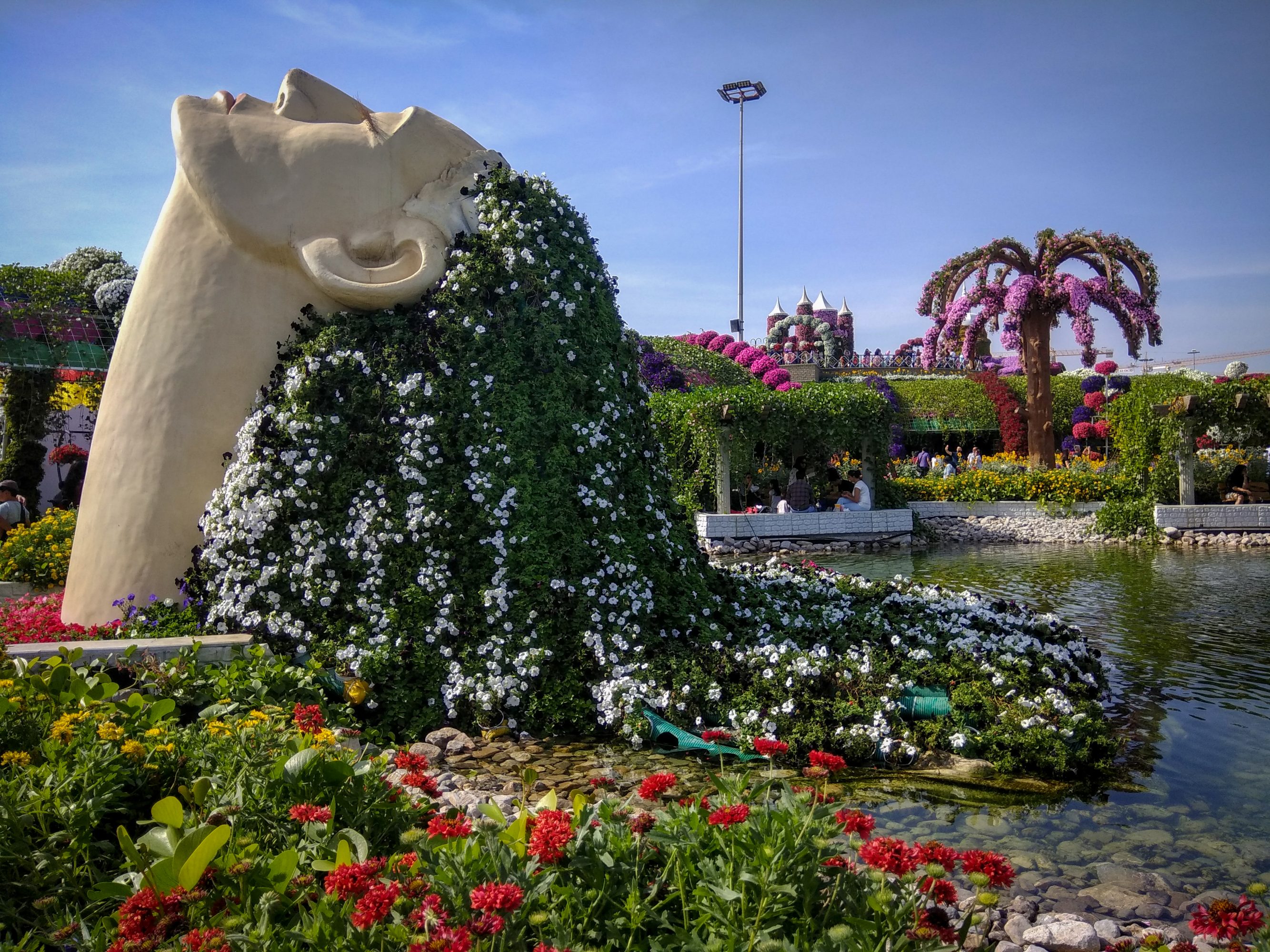 Inside Dubai Miracle Garden